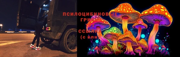 тгк Богданович